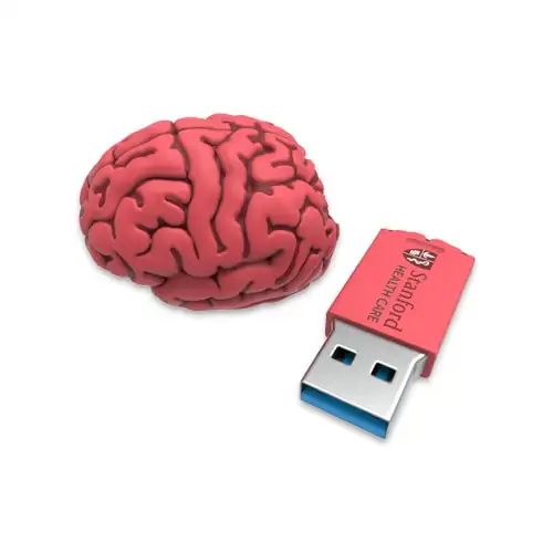 Cartoon Brain USB Flash Drive Human Organs Shape Pen Drive 64GB Memory Stick 4GB 8GB 16GB 32GB Heart Tooth Pendrive