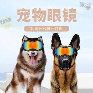 Lunettes de soleil pour chien, monture complète, verres photochromiques, sangle réglable, coupe-vent, randonnée, multifonctionnelles # 3021 - Product Image 5