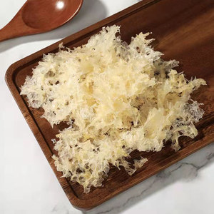 Tremella <span class=keywords><strong>Fuciformis</strong></span> para Alimentos Funcionales y Aplicaciones Nutricionales - Product Image 2