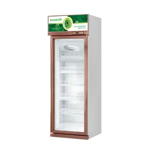 479L One Door Self-defrost Drinks Chiller Freezer Beverage Upright Display Fridge Grocery Store Equipment