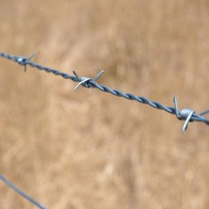 Bulk Korting Prikkeldraad Prijs Meter Prikkeldraad Cubaanse Link Prikkeldraad Hek Voor Boerderij - Product Image 4