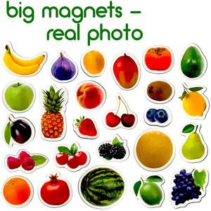 Magnetic Educational Toys <strong>Baby</strong> Learning <strong>Magnets</strong> Real Large <strong>Fridge</strong> <strong>Magnets</strong> Fruit and Vegetable for Toddlers - Product Image 1