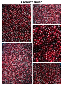 Myrtilles surgelées en vrac/petit emballage, fruits surgelés IQF, myrtilles surgelées, exportation de Russie, origine Chine - Product Image 5