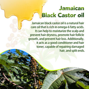 Jamaican naturale organico <span class=keywords><strong>olio</strong></span> di ricino a base di erbe nutriente essenziale per la cura dei <span class=keywords><strong>capelli</strong></span> secchi <span class=keywords><strong>idratante</strong></span> trattamento liscio <span class=keywords><strong>olio</strong></span> di ricino nero - Product Image 4