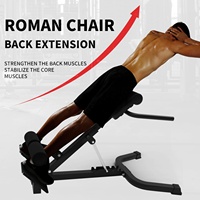Chaise romaine VIGFIT pour hyperextension, robuste et réglable, pour l'entraînement du dos et des abdominaux, avec options de hauteur, pour la musculation des jambes à domicile