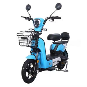 Populaire Ebike Brésil Vietnam Finlande Vélos <span class=keywords><strong>électrique</strong></span>s Machine En Gros <span class=keywords><strong>150</strong></span> <span class=keywords><strong>kg</strong></span> Charge Forte <span class=keywords><strong>Vélo</strong></span> <span class=keywords><strong>Électrique</strong></span> pour Hommes Femmes - Product Image 1