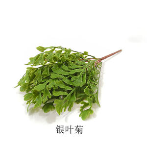 Plantas Artificiales Realistas Hechas a Mano, Helecho de Boston, Arbustos, Vegetación para Decoración Interior/<span class=keywords><strong>Exterior</strong></span>, Año Nuevo Chino - Product Image 3