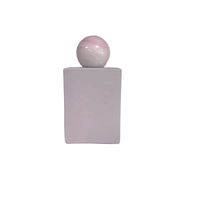 Flacons pulvérisateurs de parfum rectangulaires en verre dépoli de 30 ml à 50 ml, atomiseurs cosmétiques rechargeables pour le voyage