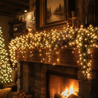 500 LED Funkelnde Lichterketten Professionelles Gummikabel mit IP44 Sicherheitsadapter Timer für Kommerzielle Schaufensterdekoration