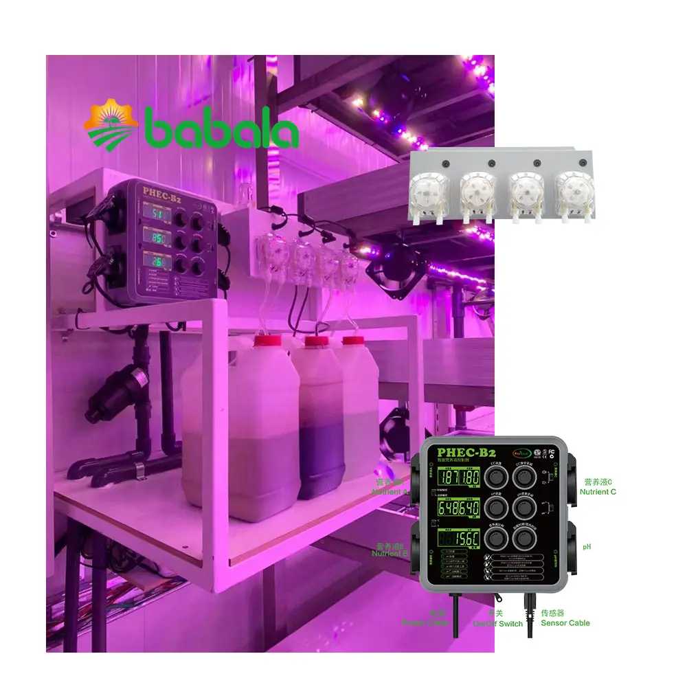 Pro-folha PH & CE Fábrica de fornecimento direto estufa Estufas equipamentos sistema hidropônico automático nutriente dosador sistema