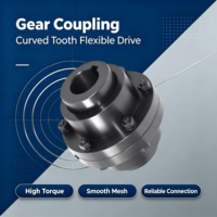 Accouplement en acier à dents courbées GIICL, couple élevé, production à haute efficacité, diamètre de trou personnalisable, support OEM