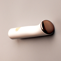 Masseur facial de marque OEM, appareil de beauté avec lumière LED, taille mini pour usage domestique, option de logo personnalisé