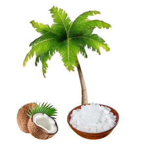 Jus de gelée de grass jelly frais de 2,5 kg à base de sirop de bubble tea avec granules de sucre et de noix de coco, prêt à consommer, aromatisé aux fruits, de haute qualité - Product Image 1