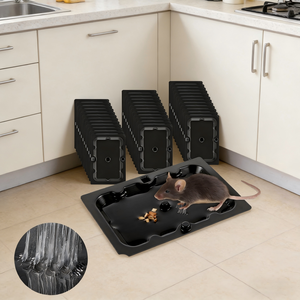 Trampas de pegamento impermeables Dayoung para ratones y ratas, con adhesivo fuerte para áreas húmedas, capturan cucarachas y arañas. - Product Image 1