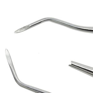 YP denti per ascensori dentali in acciaio inossidabile Clareador manico radice curva dentista strumenti chirurgici elevatore radice dentale - Product Image 4
