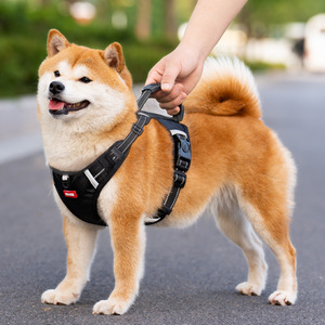 Harnais pour chien réglable pour races moyennes, sangle de poitrine, laisse de promenade, tissu solide, équipement pour animaux de compagnie - Product Image 1