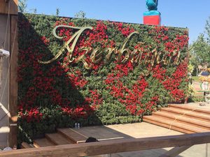 Maceta Vertical para Jardín Vertical, Soporte para Plantas de Pared con Orificio de Drenaje, Plástico PP Ecológico para Proyectos de Vegetalización - Product Image 4