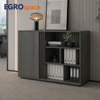 EGROspace - Muebles Minimalistas de Alta Gama al por Mayor, Archivador de Documentos, Gabinetes de Almacenamiento para Oficina