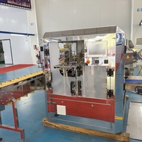 Machine d'emballage de sachets en plastique pré-fabriqués de type poussée pneumatique de haute précision Elemotion pour base de fondue, bloc de tofu, fromage