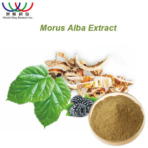 Morus Alba ผงใบหม่อนบริสุทธิ์1-Deoxynojirimycin 1-DNJ 1% -10% <span class=keywords><strong>3</strong></span>สารสกัดจากใบหม่อนสีขาวสำหรับการดูแลสุขภาพเครื่องสำอาง - Product Image 3