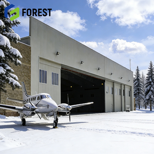 Estructura de Acero Industrial de Bajo Costo y Alta Resistencia, Diseño de Marco de Portal para Hangar de Aviones, Almacenamiento de Aviones, Calidad de Exportación - Product Image 1