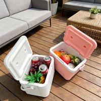 Glacière multifonctionnelle portable, écologique, imperméable et isolée, style tendance, prix compétitif, 5L, pour canettes et aliments