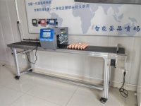 Imprimante jet d'encre en ligne pour œufs, machine de marquage des coquilles d'œufs, impression de numéro de série sur les œufs, marqueur automatique, machine de triage des œufs
