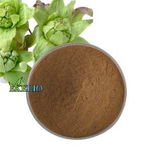 Extracto Natural de <span class=keywords><strong>Petasites</strong></span> Hybridus en Polvo - Product Image 1