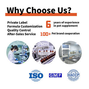 La pâte de gel de L-lysine de Chine pour la vente en gros d'animaux de compagnie fournit un moyen sûr et efficace de stimuler le système immunitaire de l'animal de compagnie - Product Image 6