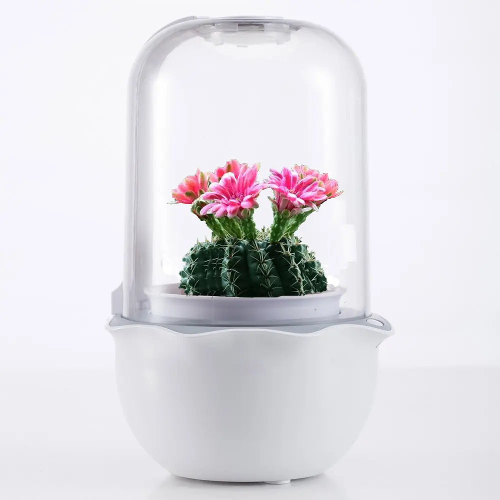 Novelty electronic product gadgets 2022 Succulent mini pot innovative smart gifts creative idea new innovative product idea 2022