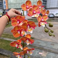 Nouvelles fleurs artificielles d'orchidée Phalaenopsis imprimées en 3D, 2 tiges, toucher réaliste, pour décoration de mariage, de remise de diplôme et de maison