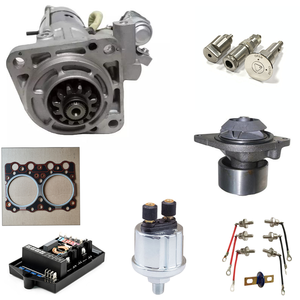 Repuestos Originales China USA para Generadores: Accesorios de Motor, Filtro, Pistón, Bomba, Hierro, Plástico, Goma 4100 - Repuestos de Potencia - Product Image 1