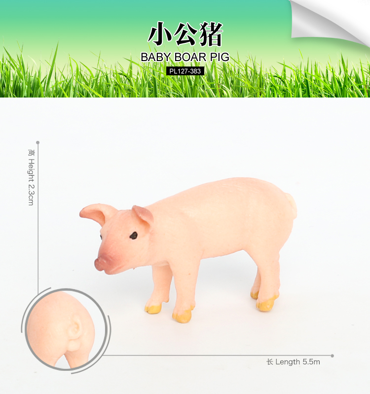 383 Porc d'airon bébé