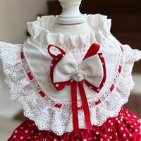 Tenues pour chats et chiens en dentelle douce et respirante, directement de l'usine, pour mariages, fêtes, anniversaires, festivals et célébrations spéciales
