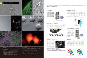 관측을 위한 LED 광원을 이용한 NK Ti2-U 형광 생물현미경 - Product Image 4