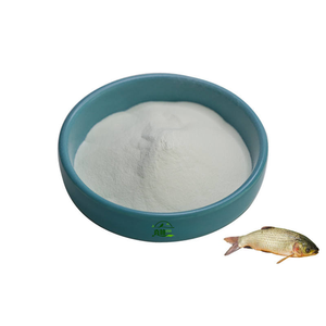 Prix de gros pour la poudre d'extrait de poisson de cheveux de peau poudre d'extrait de peptide de collagène marin de poisson hydrolysé - Product Image 3