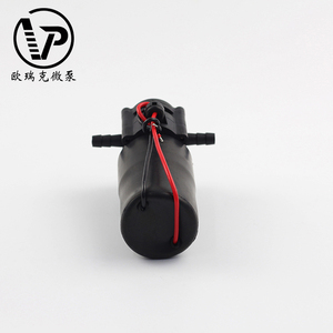 Nouvelle conception mini pompe hydraulique à engrenages en plastique 12V haute pression auto-amorçante pour eau OEM PG4 sur le même côté super silencieuse - Product Image 2