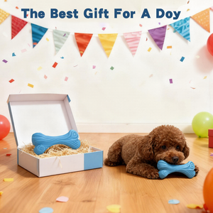 Interaktif çevre dostu doğal kauçuk dayanıklı karikatür Modern köpekler için kemik oyuncak çiğnemek-açık sesli evcil hayvan oyuncağı - Product Image 6