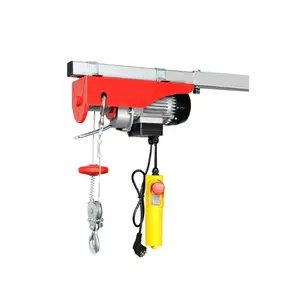 XINQI Non-European Standard Electric Hoist 150/300KGS (CE certificated) EJYT300B