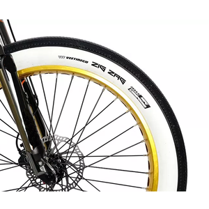 <span class=keywords><strong>Vélo</strong></span> <span class=keywords><strong>électrique</strong></span> rétro avec grande puissance 500w 1000w finshion style <span class=keywords><strong>cowboy</strong></span> <span class=keywords><strong>vélo</strong></span> <span class=keywords><strong>électrique</strong></span> avec batterie au lithium 20ah - Product Image 4