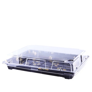 Nouveaux arrivages Emballage alimentaire jetable Contenant à emporter Bleu clair Plateau à sushi en <span class=keywords><strong>PET</strong></span> avec couvercle transparent - Product Image 4