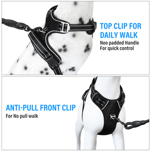 Arnés para perros personalizado 2021, conjunto de arnés y correa para cachorros, Oxford impermeable de nailon reflectante con malla acolchada y función de separación - Product Image 5