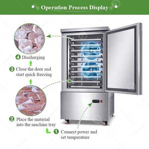 Congelador Industrial Pequeño de Acero Inoxidable Italiano Económico de 10x10 y Equipo de Congelación Rápida para Mariscos Iqf - Product Image 4