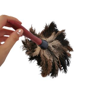 <span class=keywords><strong>Mini</strong></span> <span class=keywords><strong>plumeau</strong></span> d'autruche manche en bois vente en gros <span class=keywords><strong>plumeau</strong></span> moelleux pour le nettoyage - Product Image 3