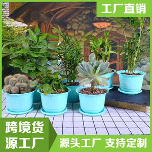 Support de sol épaissi, idéal pour stabiliser l'humeur, soulager le stress et cultiver des succulentes et des tulipes dans un pot en plastique. - Product Image 5