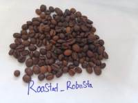 Café Vert Torréfié 100% Arabica de Qualité Supérieure du Vietnam, Prix Compétitif, SUNRISE INS Gia Lai 25kg WHATSAP