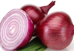 Polvo de condimento de cebolla <span class=keywords><strong>para</strong></span> patatas fritas Forma de gránulo de sabor de condimento horneado <span class=keywords><strong>para</strong></span> <span class=keywords><strong>cocinar</strong></span> - Product Image 2