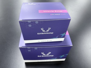 Polimerasa de ADN Taq de arranque en caliente, alta calidad para uso en investigación - Product Image 3