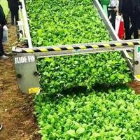 Récolteuse de feuilles électrique pour légumes pour serre de ferme pour légumes à feuilles Épinards Colza Cutter Tige Récolteuse de feuilles