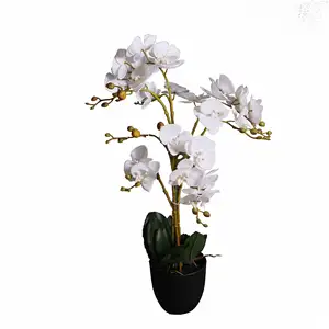 JIAWEIArtificial Plant White Roses Backdrop Silk Arrangements With Vase Bonsai Fake Flower Green Plant Succulent Pulp Pot